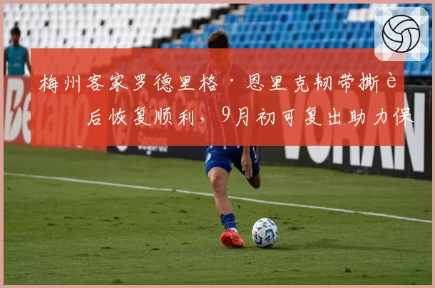 梅州客家罗德里格·恩里克韧带撕裂后恢复顺利，9月初可复出助力保级