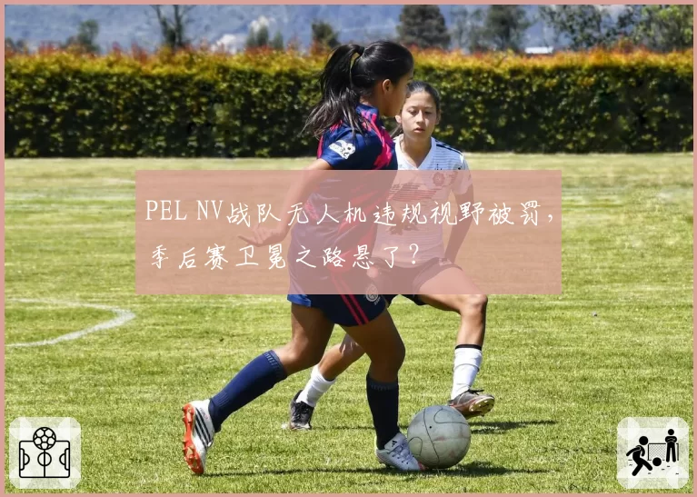 PEL NV战队无人机违规视野被罚，季后赛卫冕之路悬了？