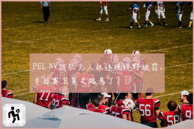 PEL NV战队无人机违规视野被罚，季后赛卫冕之路悬了？