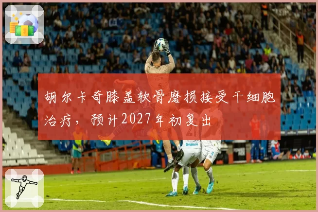 胡尔卡奇膝盖软骨磨损接受干细胞治疗,预计2027年初复出